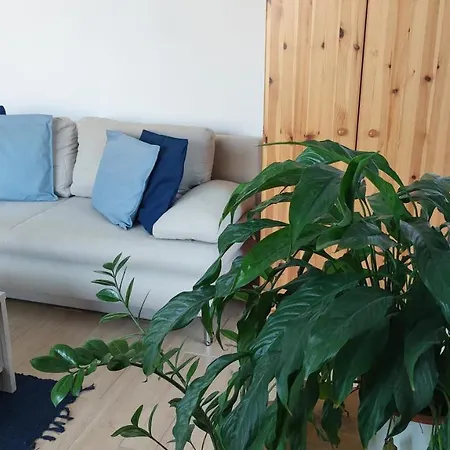 Zita Apartman Apartamento *